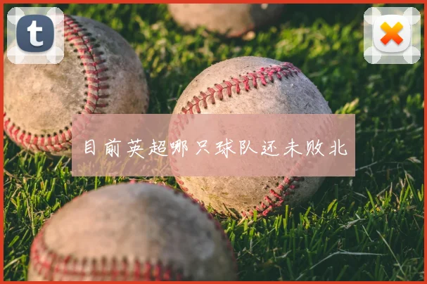 目前英超哪只球队还未败北