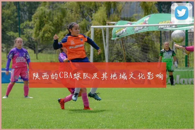 陕西的CBA球队及其地域文化影响